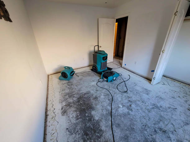 Best Carpet water damage restoration  in Ketchum, ID