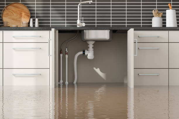 Best 24/7 water damage repair  in Ketchum, ID